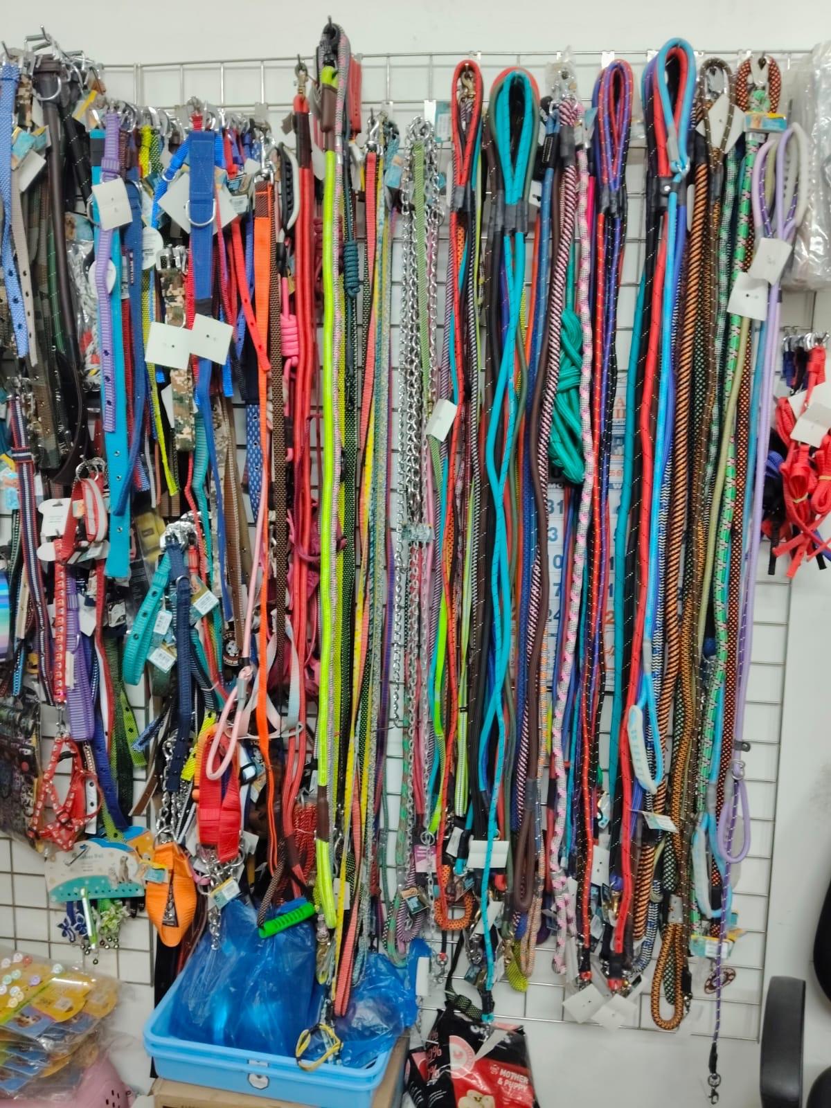 A wall of collars, leashes and harnesses for sale at the Maraimalai Nagar pet shop