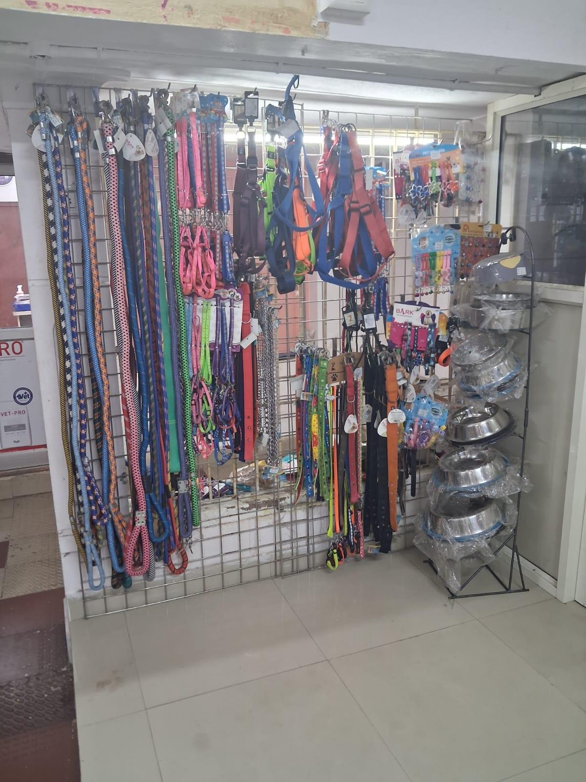 A wall of collars, leashes, harnesses and steel feeding bowls for sale in the shop